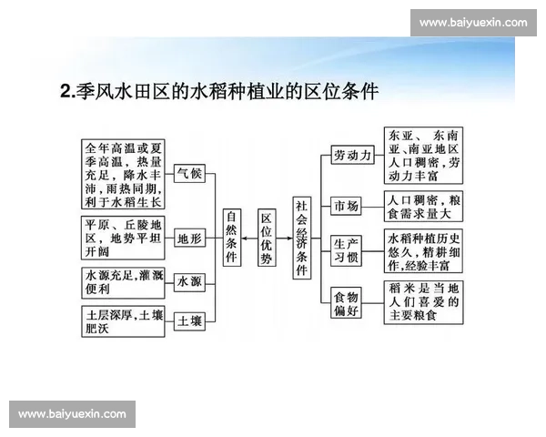 战术执行驱动下的作战方案优化与行动落地研究